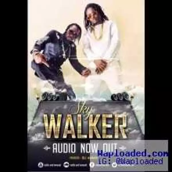 Radio & Weasel - SkyWalker